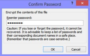 Password in Office File 5