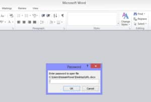 Password in Office File 7